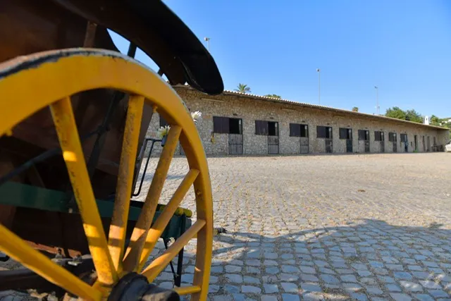 Yoga Retreat an der Algarve - Sim Yoga - Casa Lusitana - Das Gestuet