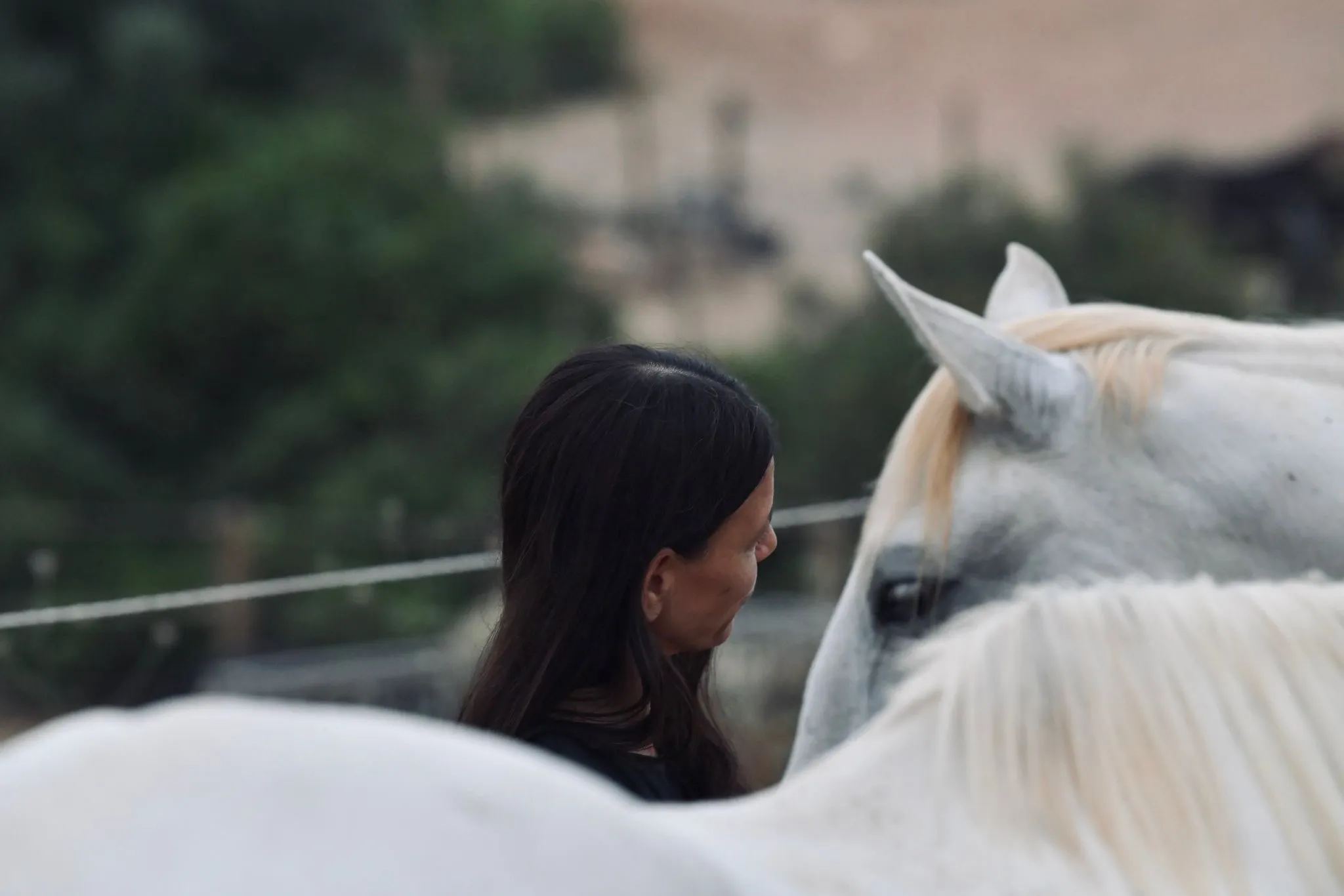 Yoga Retreat an der Algarve - Sim Yoga - Casa Lusitana - Pferdegestuet